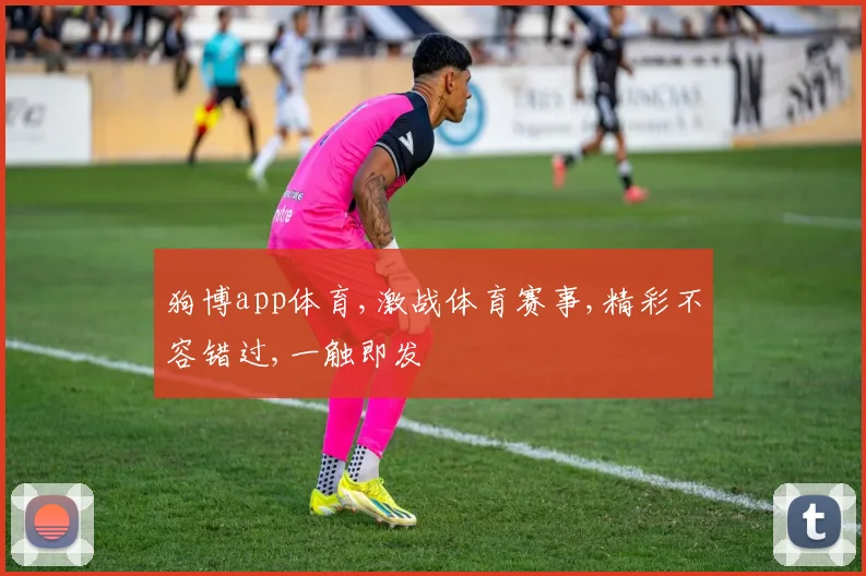 狗博app体育,激战体育赛事,精彩不容错过,一触即发